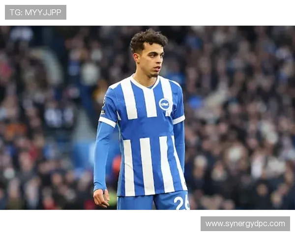 布莱顿青训再添新星，年轻球员潜力备受关注，状态回暖引发球迷热议