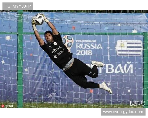 卡瓦尼训练完顺手把健身房搬回家了？